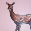 Spotted Deer in Pink