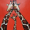 Giraffe Family in Glossy Coral