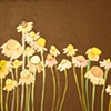 Chamomile