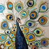 Peacock in Metallic Pearl White
