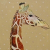 giraffe in butter and polka dots
