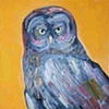 Great Gray Owl in Orange