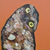 Tiny Burrowing Owl in Pumpkin Orange