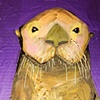 Tiny Sea Otter in Metallic Violet