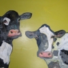Two Cows