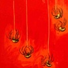 5 Spiders in Gloss Red
