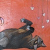 Cat in Glossy Coral
