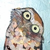 Tiny Burrowing Owl in Metallic Topaz