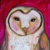 Barn Owl in Fuschia