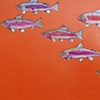 Rainbow Trout in Orange