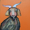 Goat in Orange