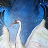 Whooping Crane in Stars