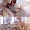 comfort suit