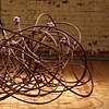 Tangle Berry