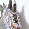 Little Stevie's Black Sun (detail 2)