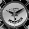 Fossil Arkitek