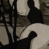 SWANS II