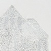Scotty (detail)