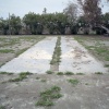Shuffleboard : Salton Sea
