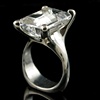 Rock in Paws with Tourmalinated Quartz