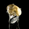 Captured Citrine