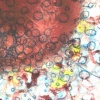 Atoms and Physics