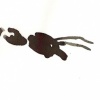 Hornet