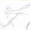 Pearl 6
