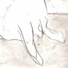 Pearl 1