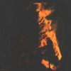 Forest Fire