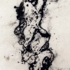 Pine Bark 5