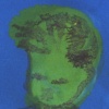 Green Baby