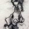 Pine Bark 1