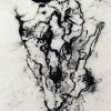 Pine Bark 3