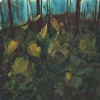 Blue Forest