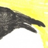 Barking Crow