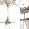 Backpage 8