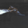 Whale