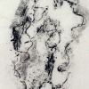 Pine Bark 2