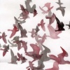 birds 3