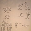 drawings