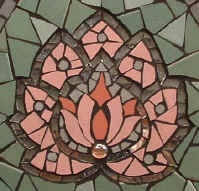 Lotus Close-up