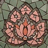 Lotus Close-up