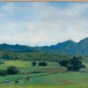 Grazing in Kauai