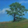 One Tree