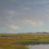 Tidal Marsh