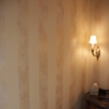 Metallic stripes in powder room
