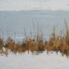 Winter Grasses