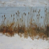 Winter Cat Tails