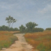 A Path to the Beach